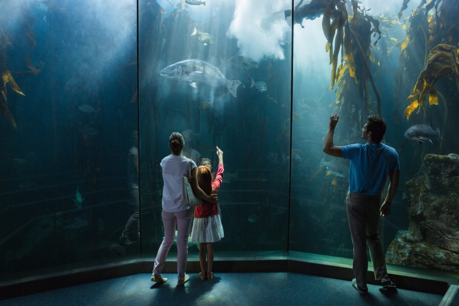 Top 10 Biggest Aquariums On The World