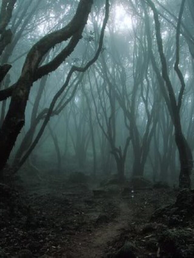 The Haunting Trails: 10 Spine-Chilling Places in India