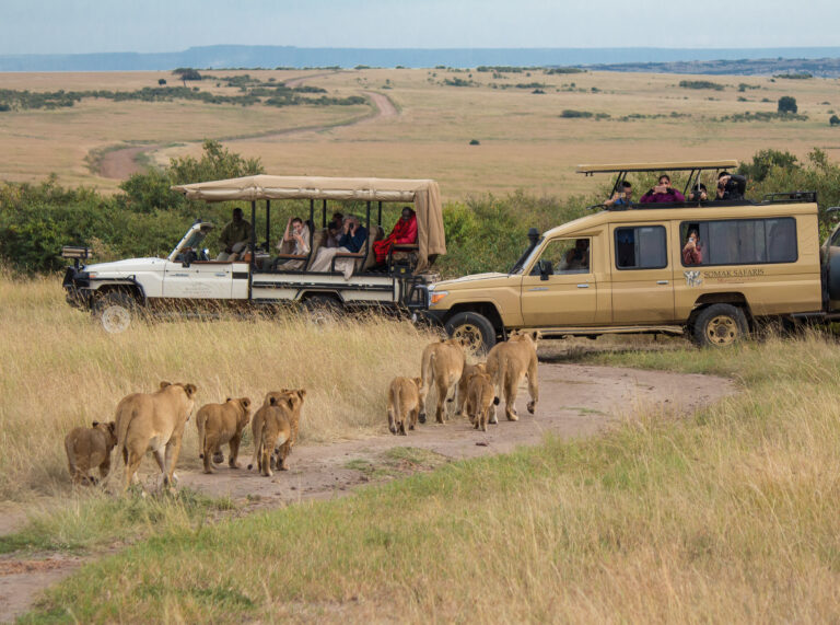 Experiencing the Wild Wonders of Masai Mara: A Journey into Kenya's Safari Paradise